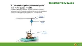 TREINAMENTO EM CAMPO
 