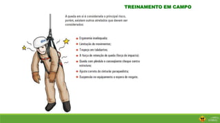 TREINAMENTO EM CAMPO
 