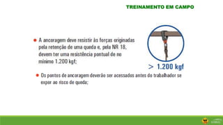 TREINAMENTO EM CAMPO
 