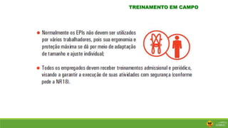 TREINAMENTO EM CAMPO
 