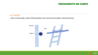 6.4. FIXAÇÃO
- Fixar à construção a cada 3 (três) quadros, por meio de amarração e entroncamento;
TREINAMENTO EM CAMPO
 