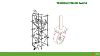 TREINAMENTO EM CAMPO
 