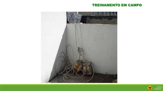 TREINAMENTO EM CAMPO
 