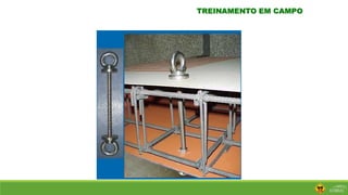 TREINAMENTO EM CAMPO
 