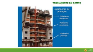 TREINAMENTO EM CAMPO
 