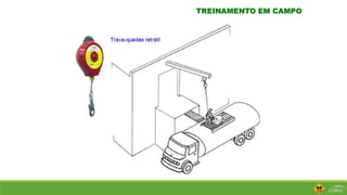 TREINAMENTO EM CAMPO
 