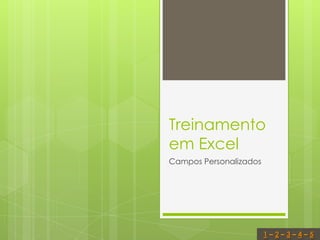 Treinamento
em Excel
Campos Personalizados




                        1–2–3–4–5
 