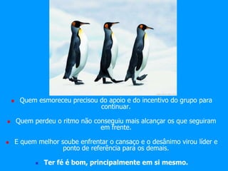  Quem esmoreceu precisou do apoio e do incentivo do grupo para 
continuar. 
 Quem perdeu o ritmo não conseguiu mais alcançar os que seguiram 
em frente. 
 E quem melhor soube enfrentar o cansaço e o desânimo virou líder e 
ponto de referência para os demais. 
 Ter fé é bom, principalmente em si mesmo. 
 