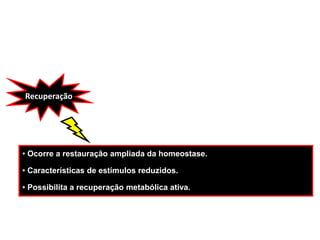 Recuperação
• Ocorre a restauração ampliada da homeostase.
• Características de estímulos reduzidos.
• Possibilita a recuperação metabólica ativa.
 