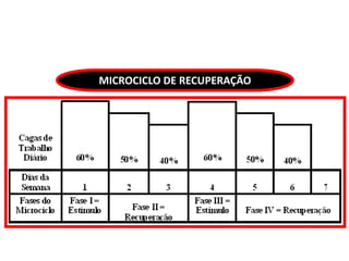 MICROCICLO DE RECUPERAÇÃO
 