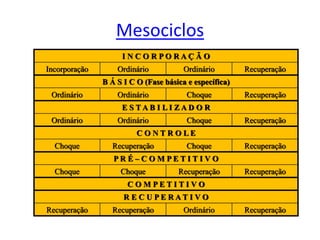Mesociclos
I N C O R P O R A Ç Ã O
Incorporação Ordinário Ordinário Recuperação
B Á S I C O (Fase básica e específica)
Ordinário Ordinário Choque Recuperação
E S T A B I L I Z A D O R
Ordinário Ordinário Choque Recuperação
C O N T R O L E
Choque Recuperação Choque Recuperação
P R É – C O M P E T I T I V O
Choque Choque Recuperação Recuperação
C O M P E T I T I V O
R E C U P E R A T I V O
Recuperação Recuperação Ordinário Recuperação
 