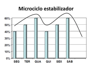 Microciclo estabilizador
 