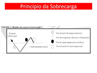 Princípio da Sobrecarga
 
