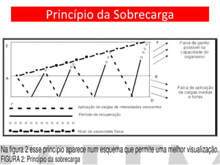 Princípio da Sobrecarga
 