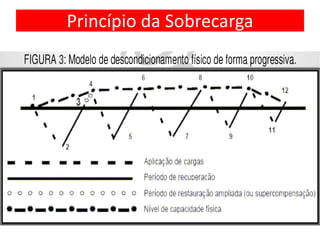 Princípio da Sobrecarga
 