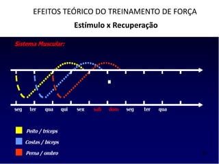 EFEITOS TEÓRICO DO TREINAMENTO DE FORÇA
Estímulo x Recuperação
 
