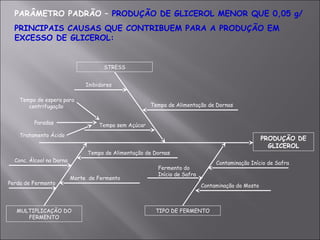 PRODUÇÃO DE
GLICEROL
PARÂMETRO PADRÃO – PRODUÇÃO DE GLICEROL MENOR QUE 0,05 g/
PRINCIPAIS CAUSAS QUE CONTRIBUEM PARA A PRODUÇÃO EM
EXCESSO DE GLICEROL:
STRESS
TIPO DE FERMENTOMULTIPLICAÇÃO DO
FERMENTO
Inibidores
Tempo sem Açúcar
Tempo de Alimentação de Dornas
Tempo de Alimentação de Dornas
Morte de Fermento
Conc. Álcool na Dorna
Perda de Fermento
Tempo de espera para
centrifugação
Paradas
Tratamento Ácido
Contaminação Início de Safra
Contaminação do Mosto
Fermento do
Início de Safra
 