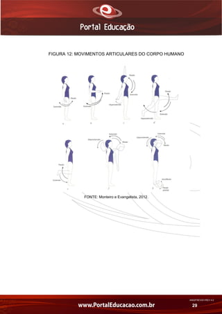 AN02FREV001/REV 4.0
29
FIGURA 12: MOVIMENTOS ARTICULARES DO CORPO HUMANO
FONTE: Monteiro e Evangelista, 2012.
 