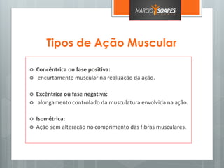 Tipos de Ação Muscular
 Concêntrica ou fase positiva:
 encurtamento muscular na realização da ação.
 Excêntrica ou fase negativa:
 alongamento controlado da musculatura envolvida na ação.
 Isométrica:
 Ação sem alteração no comprimento das fibras musculares.
 