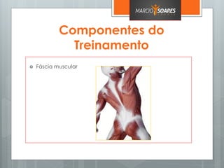Componentes do
Treinamento
 Fáscia muscular
 