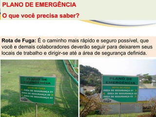 PLANO DE EMERGÊNCIA
O que você precisa saber?
Rota de Fuga: É o caminho mais rápido e seguro possível, que
você e demais colaboradores deverão seguir para deixarem seus
locais de trabalho e dirigir-se até a área de segurança definida.
 