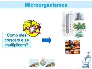 Microorganismos
Como eles
crescem e se
multiplicam?
 
