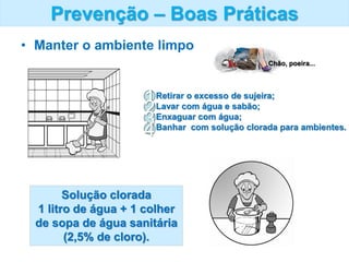 Prevenção – Boas Práticas
• Manter o ambiente limpo
Chão, poeira...
Solução clorada
1 litro de água + 1 colher
de sopa de água sanitária
(2,5% de cloro).
Retirar o excesso de sujeira;
Lavar com água e sabão;
Enxaguar com água;
Banhar com solução clorada para ambientes.
1
2
3
4
 