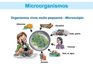 Microorganismos
Organismos vivos muito pequenos - Microscópio
Alimentos
Utensílios
Chão, poeira
Pessoas
Solo, ar, água
Animais
 
