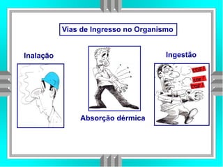 Inalação
Absorção dérmica
Ingestão
Vias de Ingresso no Organismo
 