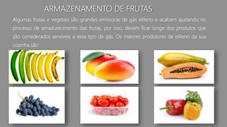 ARMAZENAMENTO DE FRUTAS
Algumas frutas e vegetais são grandes emissoras de gás etileno e acabam ajudando no
processo de amadurecimento das frutas, por isso, devem ficar longe dos produtos que
são considerados sensíveis a esse tipo de gás. Os maiores produtores de etileno da sua
cozinha são:
 