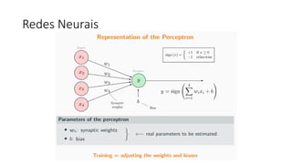 Redes Neurais
 