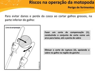Riscos na operação da motopoda
Perigo de ferimentos
Para evitar danos e perda da casca ao cortar galhos grossos, na
parte inferior do galho:
Fazer um corte de compensação (1),
conduzindo o conjunto de corte como um
arco para baixo, até a ponta do sabre
Efetuar o corte de ruptura (2), apoiando o
sabre no galho na região do gancho
 