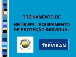 1
TREINAMENTO DE
NR-06 EPI – EQUIPAMENTO
DE PROTEÇÃO INDIVIDUAL
 