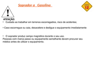 Soprador a Gasolina
ATENÇÃO:
• Cuidado ao trabalhar em terrenos escorregadios, risco de acidentes;
• Caso escorregue ou caia, desacelere e desligue o equipamento imediatamente
• O soprador produz campo magnético durante o seu uso.
Pessoas com marca passo ou equipamento semelhante devem procurar seu
médico antes de utilizar o equipamento.
 