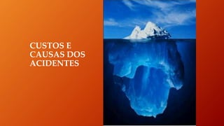 CUSTOS E
CAUSAS DOS
ACIDENTES
 