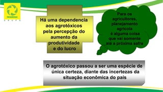 Para os
agricultores,
planejamento
agrícola
é alguma coisa
que vai somente
até a próxima safra
O agrotóxico passou a ser uma espécie de
única certeza, diante das incertezas da
situação econômica do país
Há uma dependencia
aos agrotóxicos
pela percepção do
aumento da
produtividade
e do lucro
 