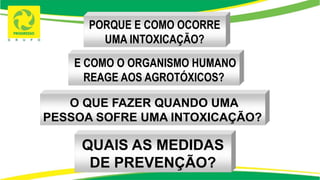 E COMO O ORGANISMO HUMANO
REAGE AOS AGROTÓXICOS?
PORQUE E COMO OCORRE
UMA INTOXICAÇÃO?
O QUE FAZER QUANDO UMA
PESSOA SOFRE UMA INTOXICAÇÃO?
QUAIS AS MEDIDAS
DE PREVENÇÃO?
 