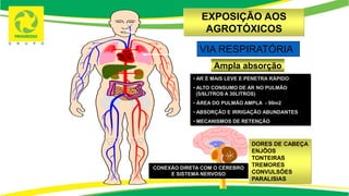 VIA RESPIRATÓRIA
• AR É MAIS LEVE E PENETRA RÁPIDO
• ALTO CONSUMO DE AR NO PULMÃO
(5/6LITROS A 30LITROS)
• ÁREA DO PULMÃO AMPLA - 90m2
• ABSORÇÃO E IRRIGAÇÃO ABUNDANTES
• MECANISMOS DE RETENÇÃO
EXPOSIÇÃO AOS
AGROTÓXICOS
DORES DE CABEÇA
ENJÔOS
TONTEIRAS
TREMORES
CONVULSÕES
PARALISIAS
CONEXÃO DIRETA COM O CÉREBRO
E SISTEMA NERVOSO
Ampla absorção
 
