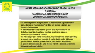 - na intoxicação leve os agricultores já incorporaram alguns sintomas
como dentro da “normalidade”; aí dão um tempo e acham que
tomando leite resolve;
- o trabalhador só vai ao médico quando está impossibilitado de
trabalhar; quando ele volta do médico, geralmente passa a
tomar um pouco mais de cuidado
- na intoxicação pelo efeito cumulativo, ninguem acredita e nem percebe;
e quando vai ao médico, a consulta é muito rápida e não dá tempo
para o médico perceber que se trata de uma doença do trabalho;
- e quando a intoxicação já é uma doença visível, o caboclo geralmente
tá despachado pelo médico
A ESTRATÉGIA DE ADAPTAÇÃO DO TRABALHADOR
É A MESMA
TANTO PARA A INTOXICAÇÃO AGUDA
COMO PARA A INTOXICAÇÃO LENTA
 