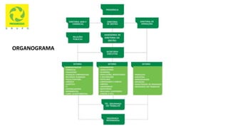 ORGANOGRAMA
 