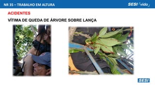 NR 35 – TRABALHO EM ALTURA
ACIDENTES
VÍTIMA DE QUEDA DE ÁRVORE SOBRE LANÇA
 