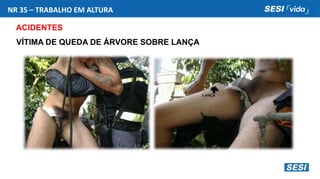 NR 35 – TRABALHO EM ALTURA
ACIDENTES
VÍTIMA DE QUEDA DE ÁRVORE SOBRE LANÇA
 