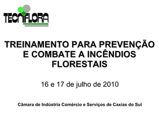 TREINAMENTO PARA PREVENÇÃO E COMBATE A INCÊNDIOS FLORESTAIS 16 e 17 de julho de 2010  Câmara de Indústria Comércio e Serviços de Caxias do Sul   
