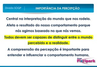 IMPORTÂNCIA DA PERCEPÇÃO
Divisão SOQP
Central na interpretação do mundo que nos rodeia.
Afeta o resultado do nosso comportamento porque
nós agimos baseado no que nós vemos.
Todos devem ser capazes de distinguir entre o mundo
percebido e a realidade.
A compreensão da percepção é importante para
entender e influenciar o comportamento humano,
 