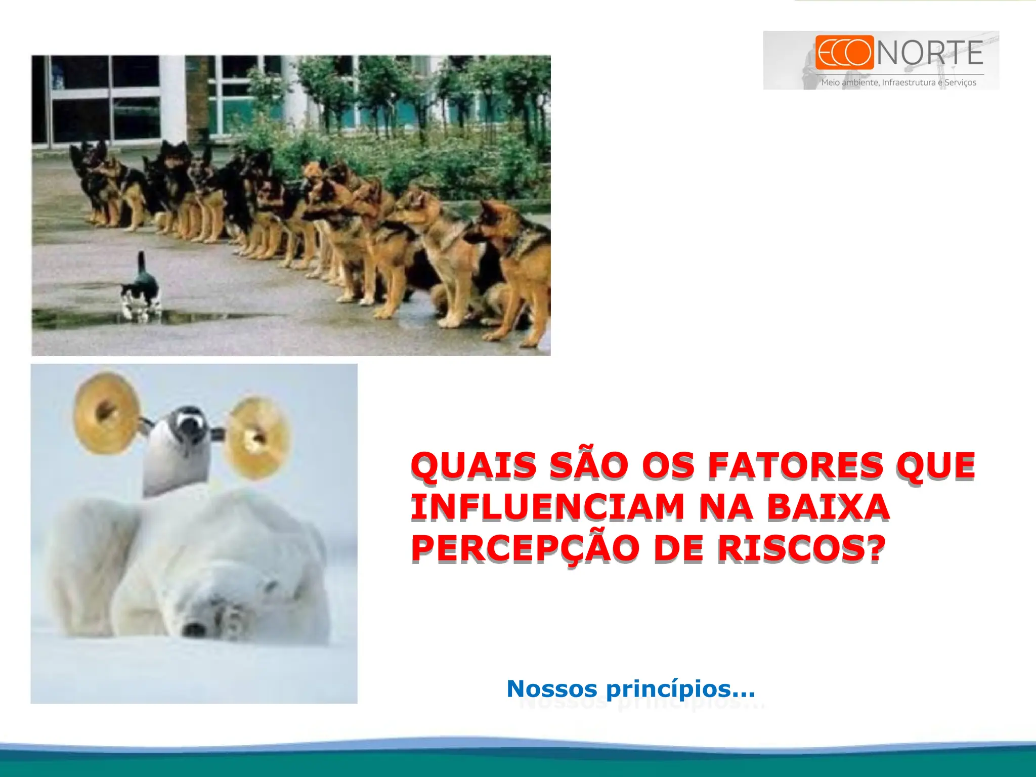 QUAIS SÃO OS FATORES QUE
INFLUENCIAM NA BAIXA
PERCEPÇÃO DE RISCOS?
Nossos princípios...
 