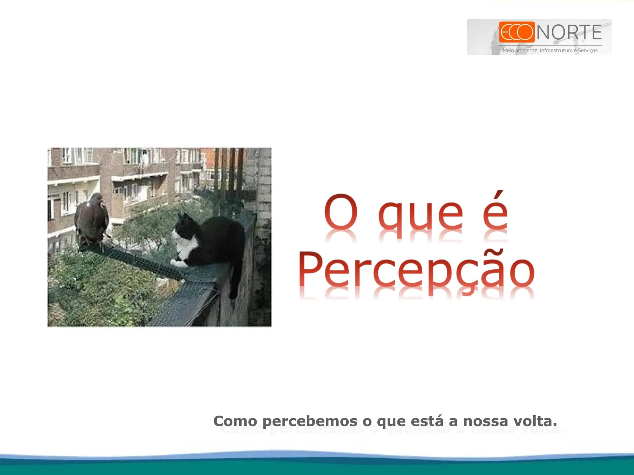 Como percebemos o que está a nossa volta.
 