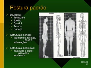 Postura padrão Equilíbrio: Tornozelo Joelho Quadril Tronco Cabeça Estruturas inertes: ligamentos, fáscias,  osso e articulações Estruturas dinâmicas: músculos e suas  inserções tendíneas 
