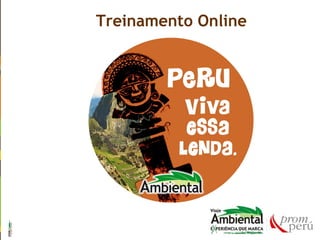 Treinamento Online
 