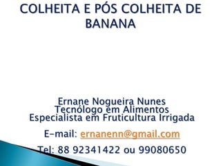 Ernane Nogueira Nunes
     Tecnólogo em Alimentos
Especialista em Fruticultura Irrigada
   E-mail: ernanenn@gmail.com
 Tel: 88 92341422 ou 99080650
 