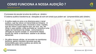 COMO FUNCIONA A NOSSA AUDIÇÃO ?
PROTEÇÃO AUDITIVA
O processo de escutar envolve da orelha ao cérebro.
O sistema auditivo transforma as vibrações do som em sinais que podem ser compreendidos pelo cérebro.
• A orelha capta os sons e os direciona para o canal
auditivo, que faz vibrar e é transmitida ao tímpano. A
membrana timpânica vibra, movendo o osso martelo,
que faz vibrar o osso bigorna que, por sua vez, faz
vibrar o osso estribo, onde sua base se conecta a uma
região da membrana da cóclea, comunicando a
vibração ao líquido coclear. O movimento desse
líquido faz vibrar a membrana basiliar e as células
sensoriais.
• Os pêlos dessas células, ao encostar na membrana
tectórica, geram impulsos nervosos que são
transmitidos pelo nervo auditivo ao centro de
audição do córtex cerebral.
 